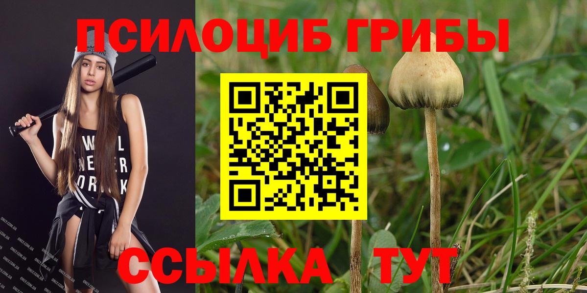 хочу   Галлюциногенные грибы Psilocybe  Вход с VPN  Галлюциногенные грибы Psilocybe  Луховицы 